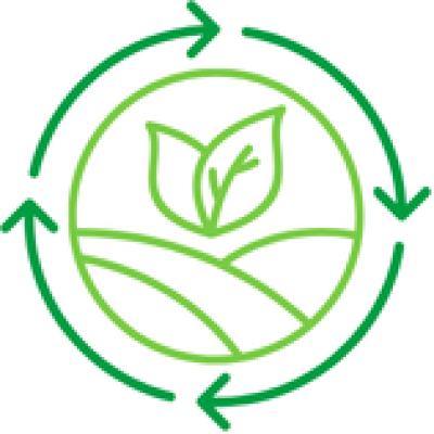 ICON-Forstwirtschaft